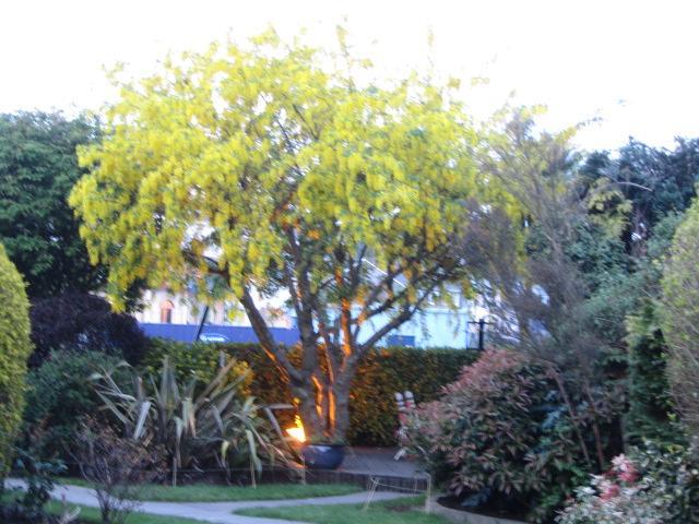 Pier House Hotel Kinsale Bagian luar foto